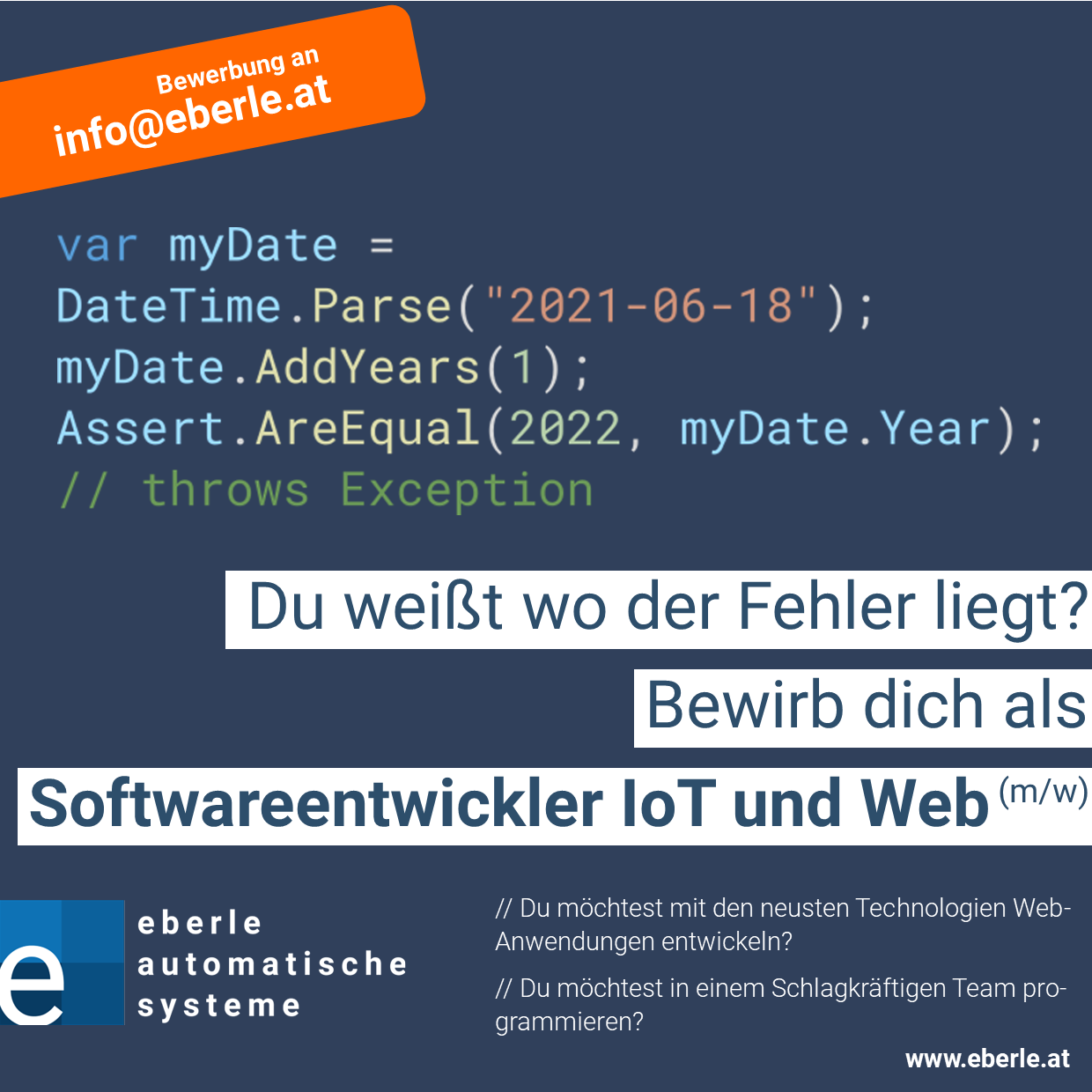 Stellenanzeige Softwareentwickler